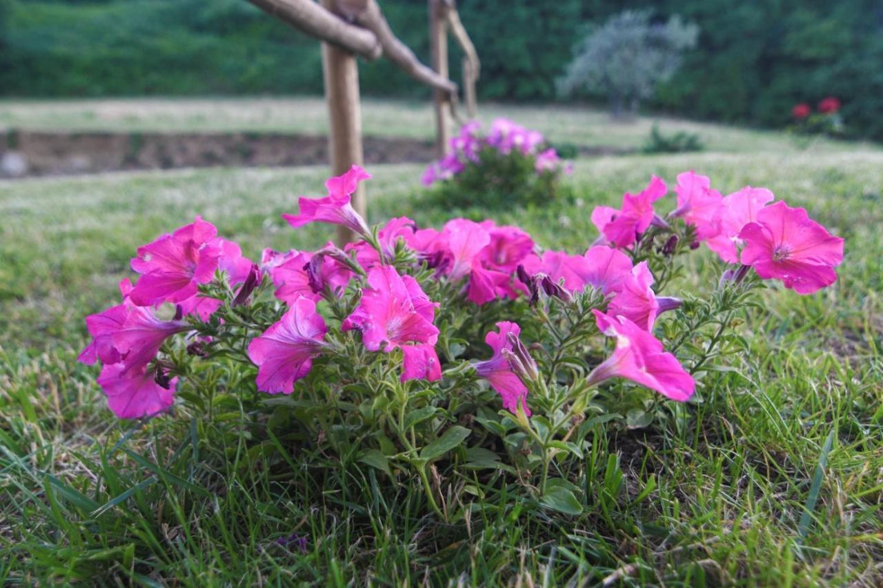 Agriturismo Poggio Ridulfo ヴォルテッラ エクステリア 写真